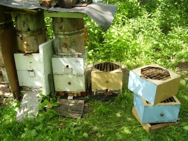 Beekeeping methods