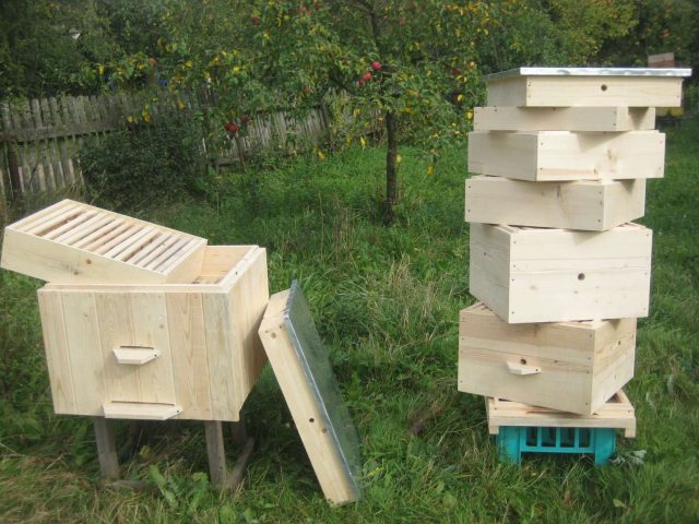 Beekeeping methods