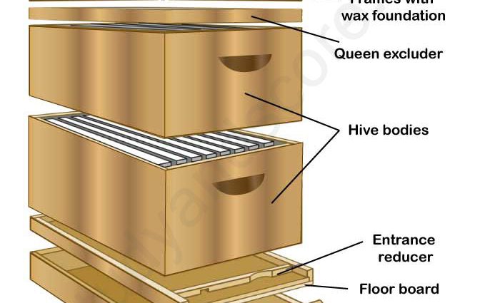 Beekeeping methods