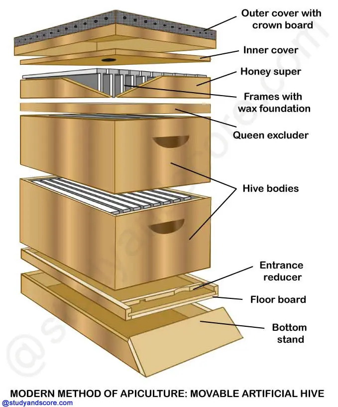 Beekeeping methods