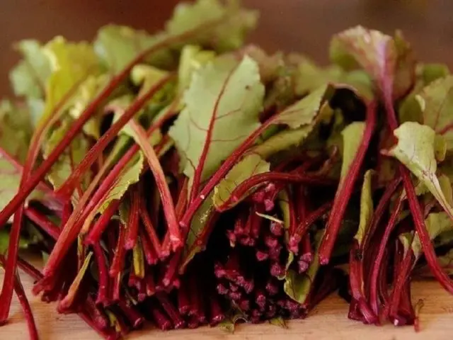 Beet tops: benefits and harms