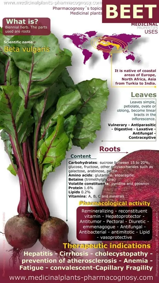 Beet tops: benefits and harms