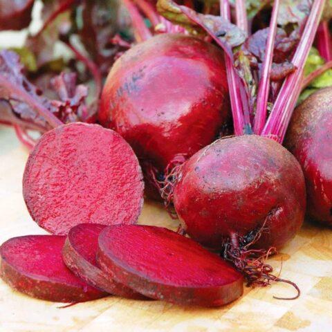 Beetroot Bordeaux and Bordeaux 237: variety description, planting and care, photos, reviews