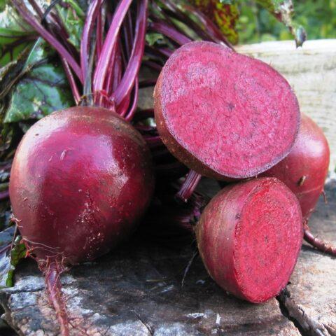 Beetroot Pablo F1: description and characteristics of the variety