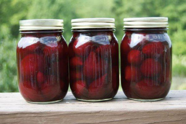 Beets for the winter: simple homemade recipes for pickled, salted, pickled beetroots in jars