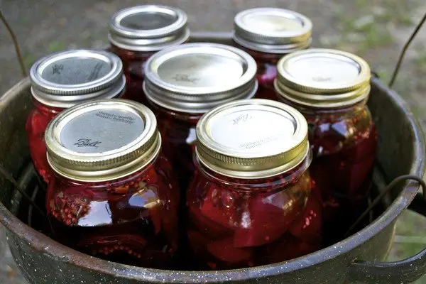 Beets marinated for the winter in jars