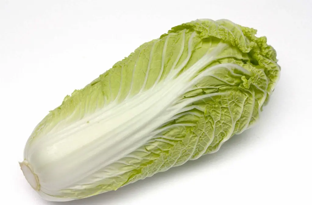 Beijing cabbage: cultivation and pest control