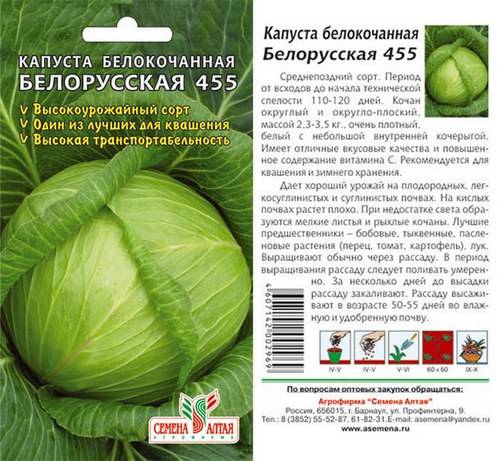 Belarusian cabbage 455, 85