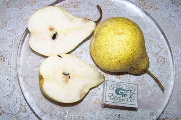 Belarusian pear variety Prosto Maria: description, advantages and reviews (2022)