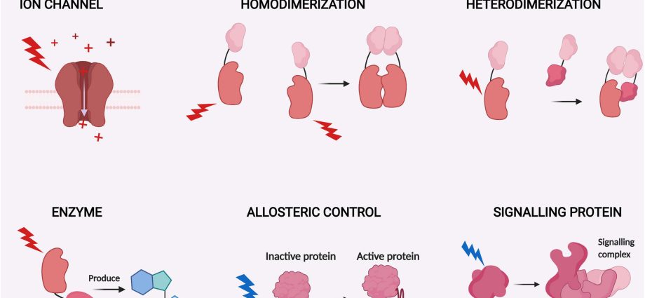 Belissa Anti-red &#8211; indications and contraindications