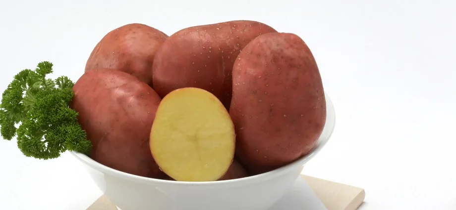 Bellarosa potato: variety characteristics with photo