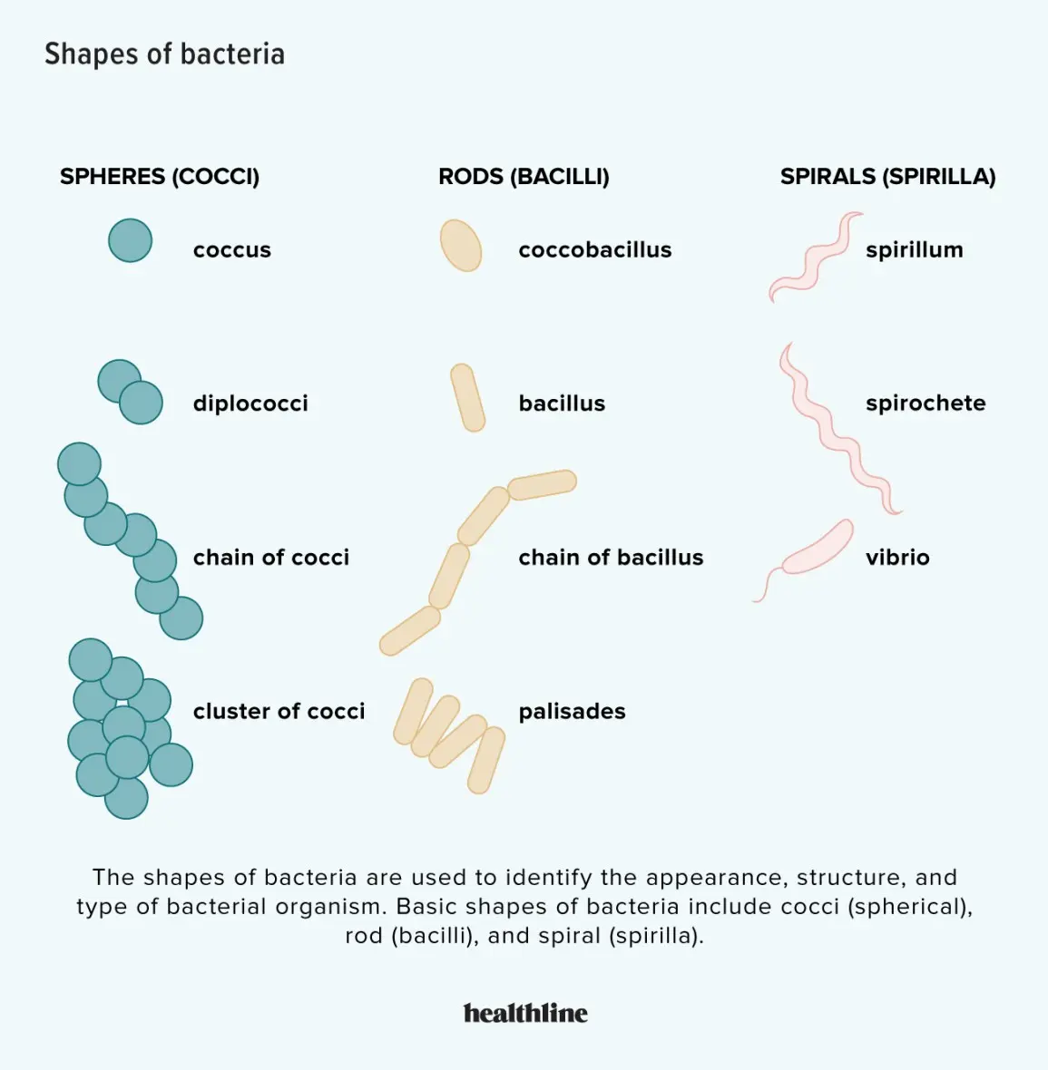 Benefit from harmful bacteria