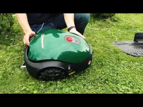 Best Electric Lawnmower: Top Models Reviewed in 2022 - Leaders in Reliability and Customer Reviews