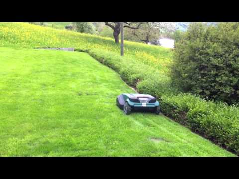 Best Electric Lawnmower: Top Models Reviewed in 2022 - Leaders in Reliability and Customer Reviews