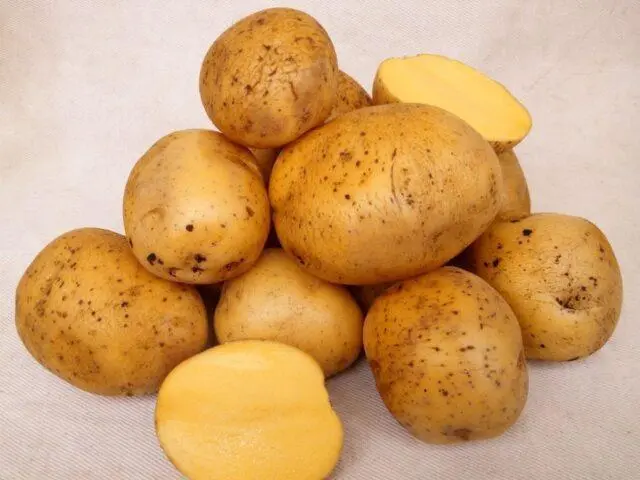 Best potato varieties for sandy soil