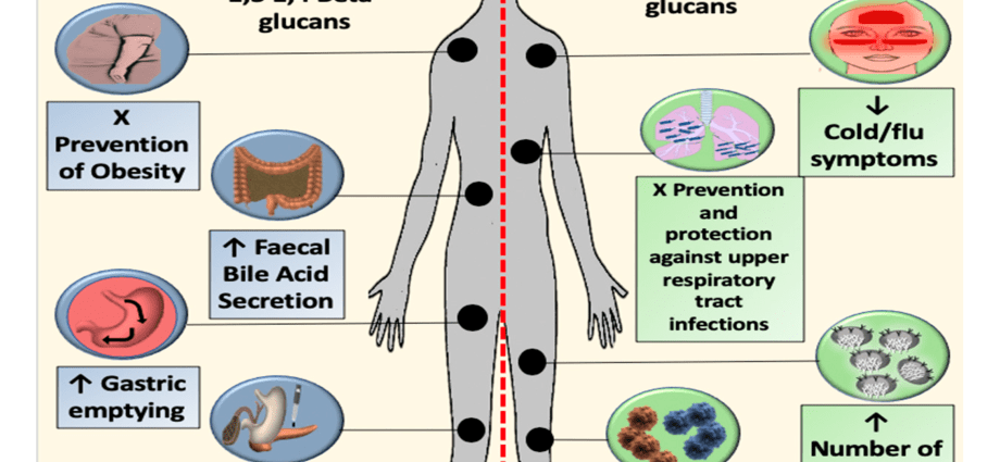 Beta-glucan &#8211; what it does, action, contraindications. How does it affect the body and for whom is it recommended?