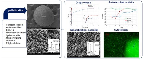 Biofazolin &#8211; an antibacterial drug