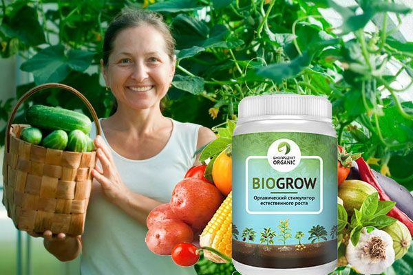 Biofertilizer BioGrow: instructions for use