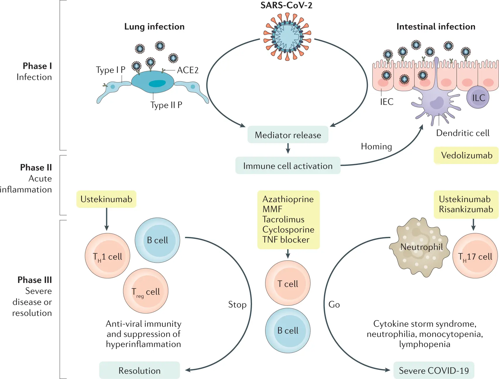 Biological therapies &#8211; hope for the chronically ill