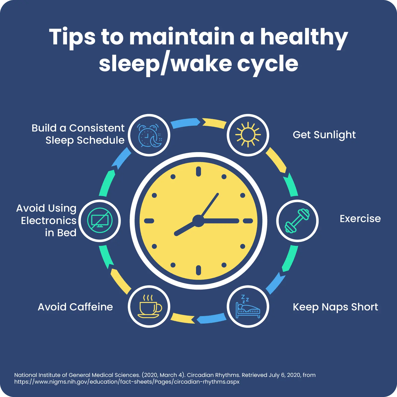 Biorhythm and time of day and seasons. How does our biological clock work?