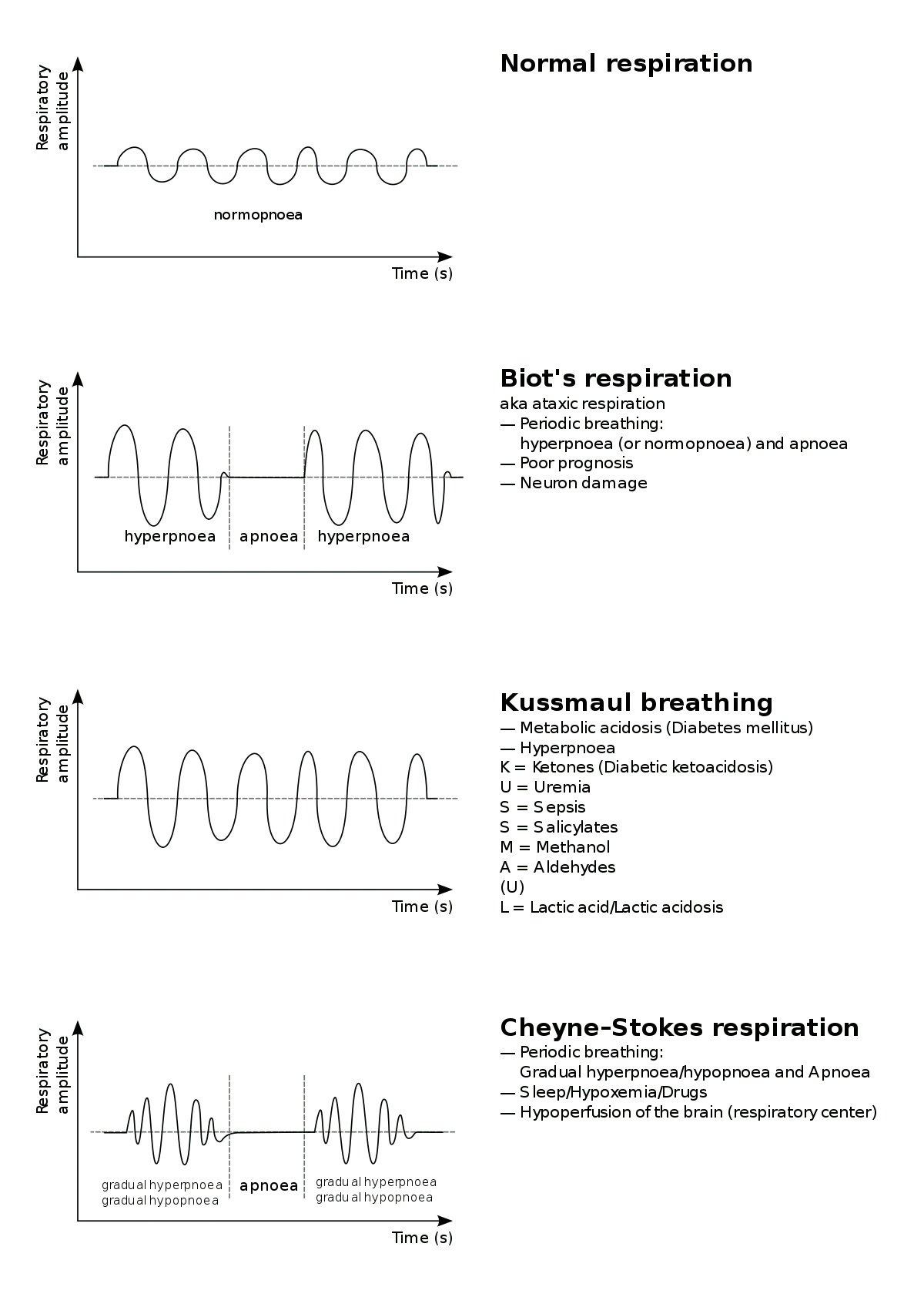 Biot&#8217;s breath &#8211; one of the breathing disorders