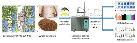 Birch bark betulin supports metabolism