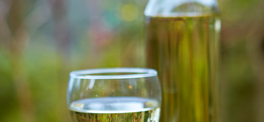 Birch sap champagne: 5 recipes