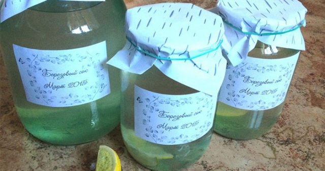 Birch sap: sap preservation at home for the winter