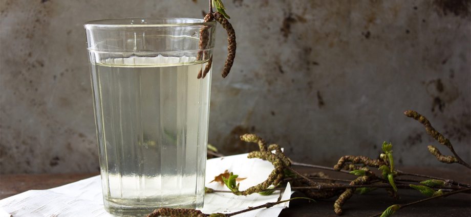 Birch water &#8211; healing properties and use of birch water