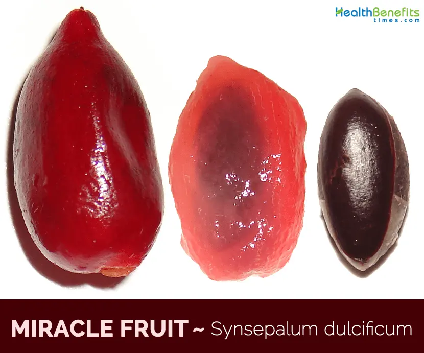 Black apricot: description and characteristics of the miracle fruit