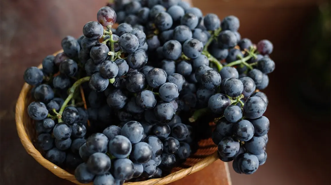 Black grapes, its types, advantages and benefits
