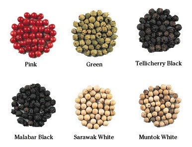 Black pepper varieties