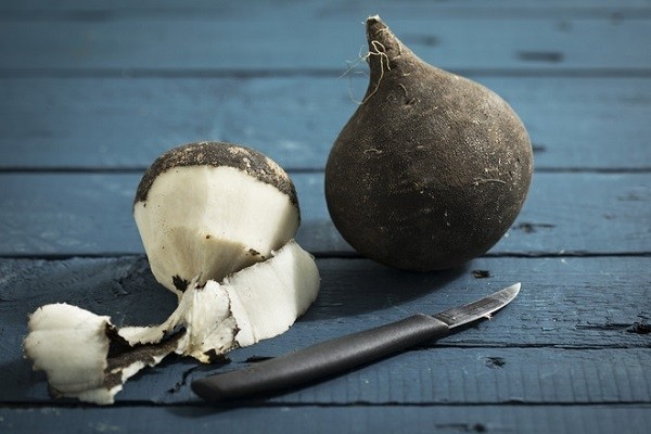 Black radish: useful properties and contraindications