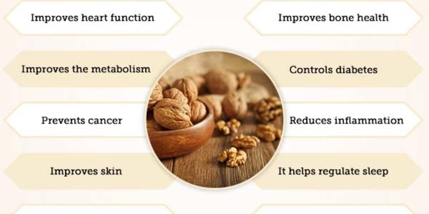 Black walnut: benefits and harms – Healthy Food Near Me