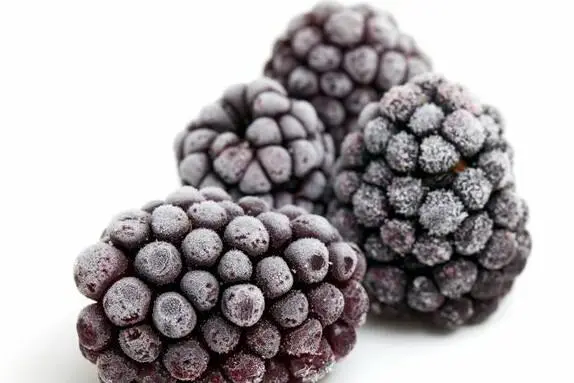 Blackberry compote