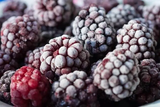 Blackberry Jam, Jam and Blackberry Confiture