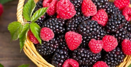 Blackberry Natchez: description, characteristics, features of care