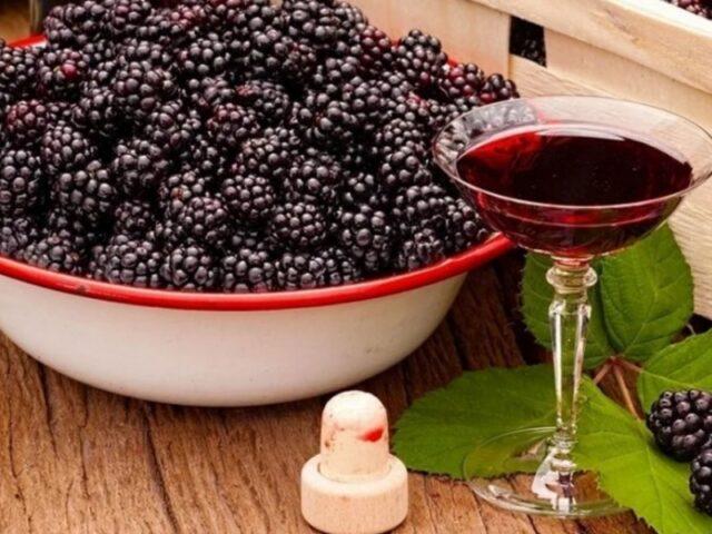 Blackberry tincture (liquor) at home: moonshine, alcohol, recipes