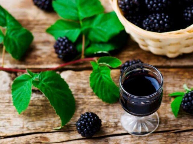 Blackberry tincture (liquor) at home: moonshine, alcohol, recipes