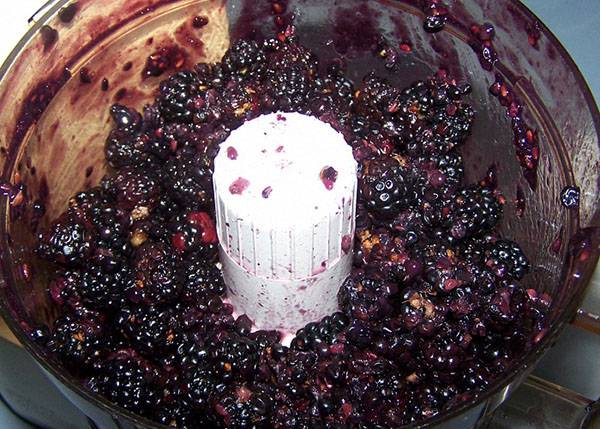 Blackberry wine at home: recipe 