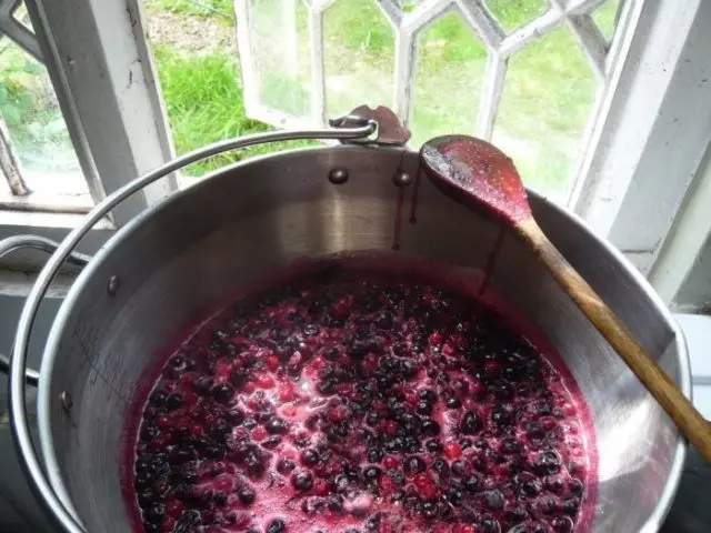 Blackcurrant for the winter, mashed with sugar: benefits, how to cook