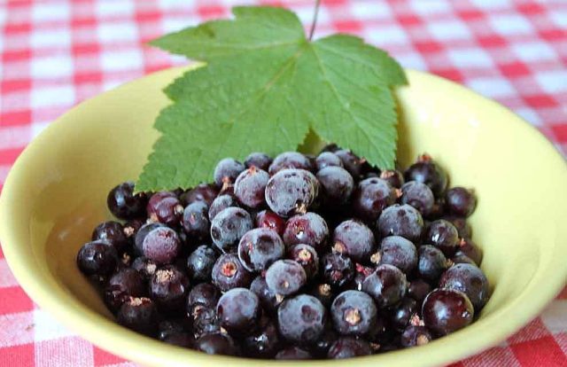 Blackcurrant juice: frozen, fresh