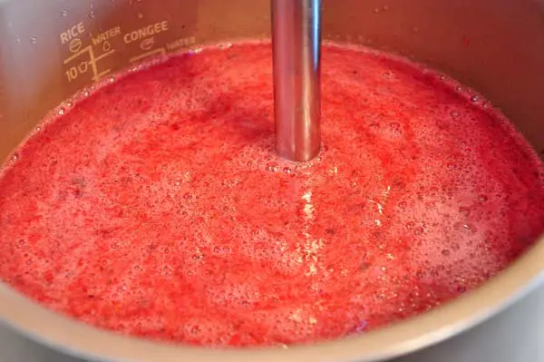 Blackcurrant juice: frozen, fresh