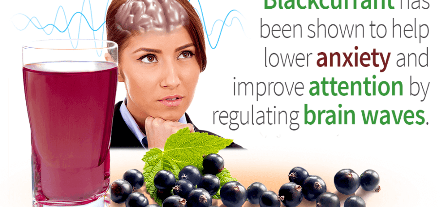 Blackcurrant juice &#8211; health-promoting properties and effect