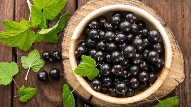 Blackcurrant Nanny: description, planting and care