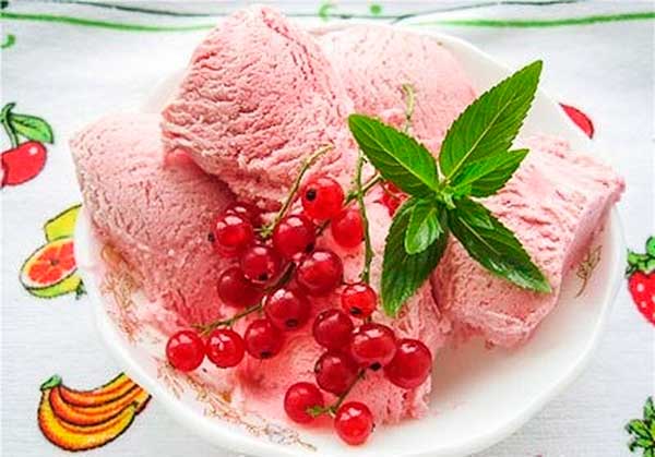 Blackcurrant sorbet recipes