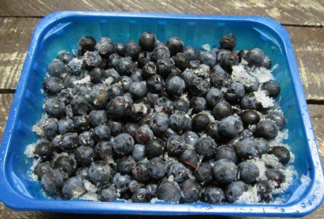 Blackthorn compote for the winter: how to cook, how much sugar, benefits and harms, contraindications