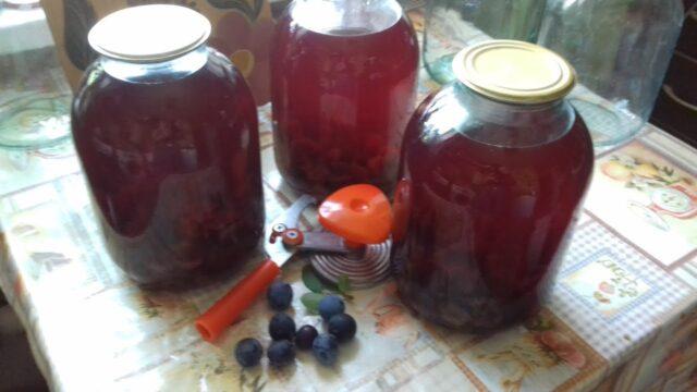 Blackthorn compote for the winter: how to cook, how much sugar, benefits and harms, contraindications