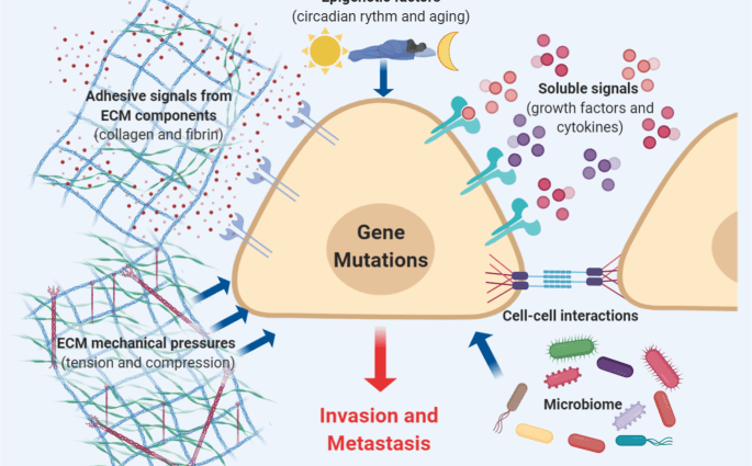 Blocking the gene inhibits metastasis