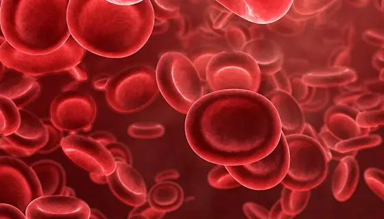 Blood coagulation disorders